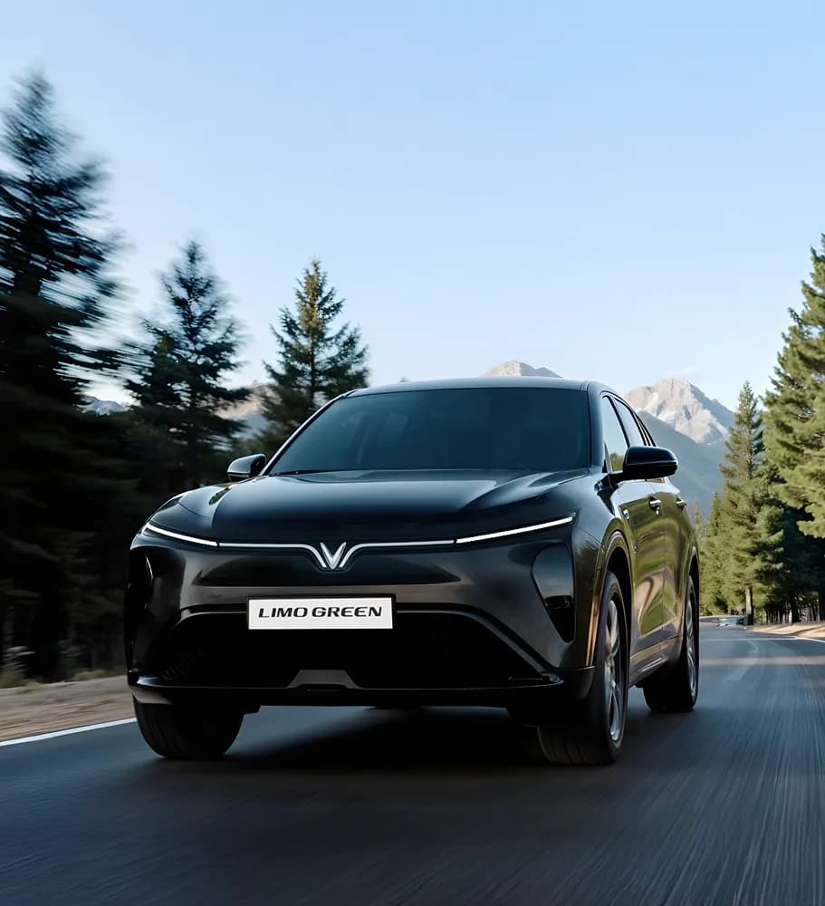 Xe VIP Limo / SUV 7 Chỗ